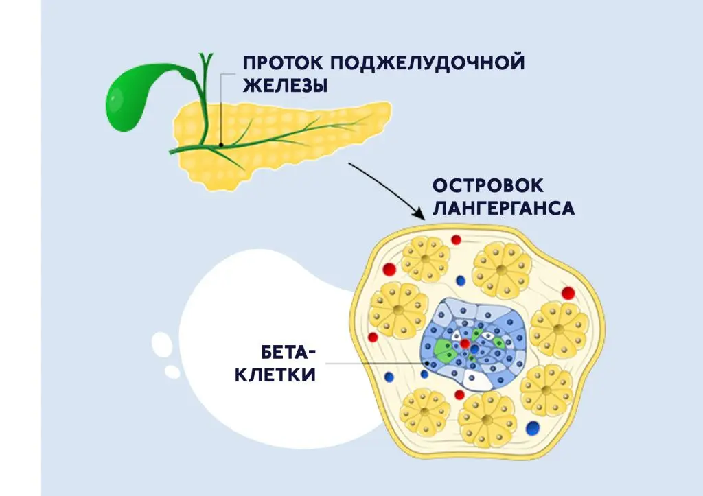БЛОГ-33.jpg