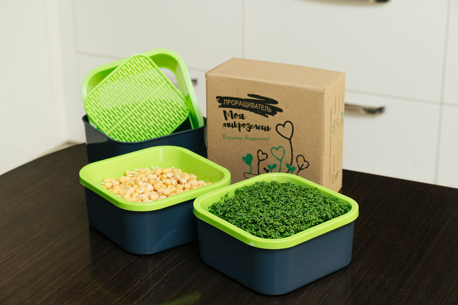 Как вырастить микрозелень в домашних условиях? Советы и рекомендации по проращиванию